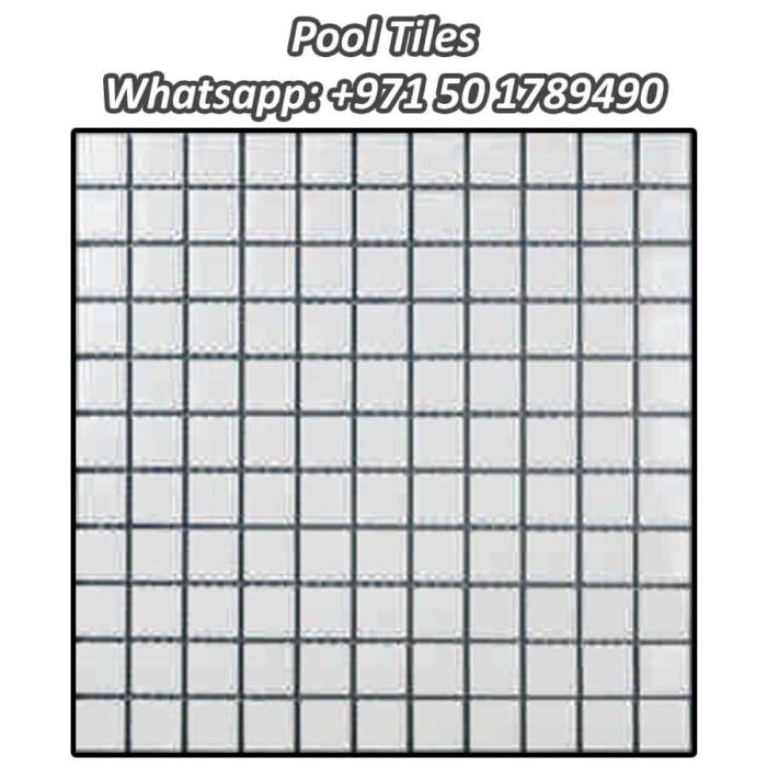 25mm x 25mm Pool Ceramic Tiles Code: SP-MCS630860 - Tiles Shops In Dubai