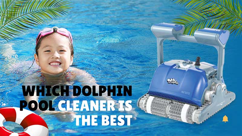 Which Dolphin Pool Cleaner Is The Best?