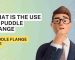 What is the Use of Puddle Flange